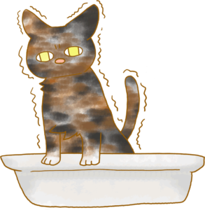 フリー素材 トイレ中のサビ猫さん ニクキューチャンネル 可愛くて面白い 動物たちの画像や情報を配信